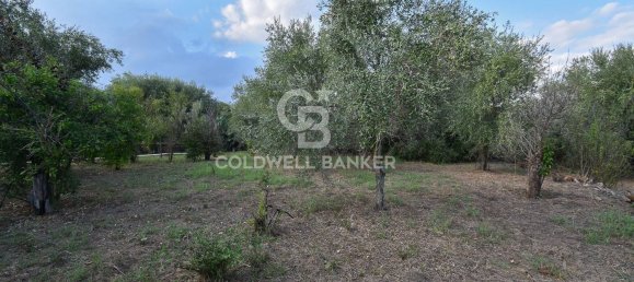 Terrain à Santa Venerina, Italy 5480m² No. 63576 32