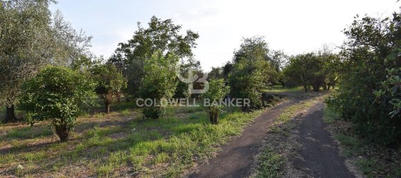 Terrain à Santa Venerina, Italy 5480m² No. 63576 38