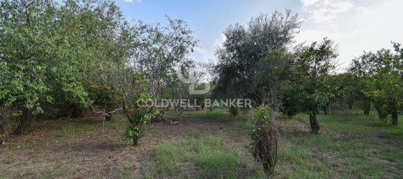 Terrain à Santa Venerina, Italy 5480m² No. 63576 27