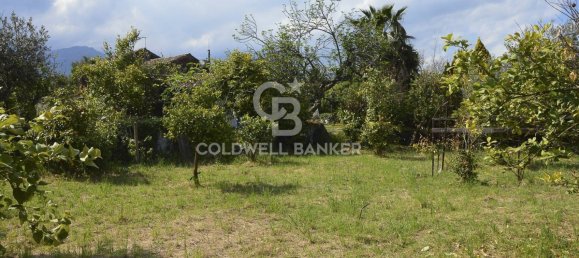 Terrain à Santa Venerina, Italy 5480m² No. 63576 5