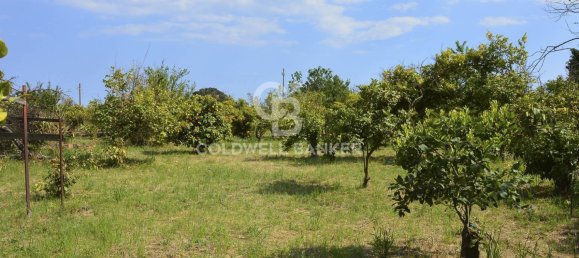 Terrain à Santa Venerina, Italy 5480m² No. 63576 3