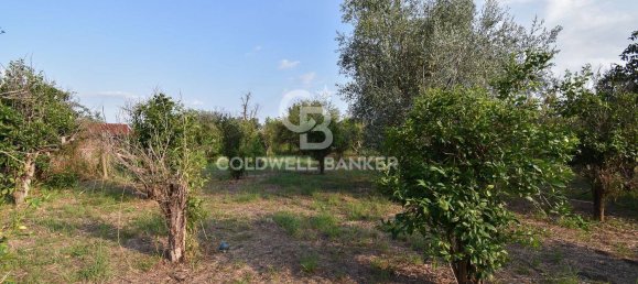 Terrain à Santa Venerina, Italy 5480m² No. 63576 22