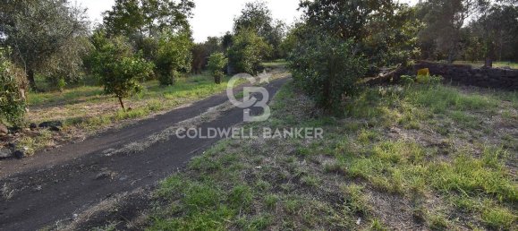 Terrain à Santa Venerina, Italy 5480m² No. 63576 35