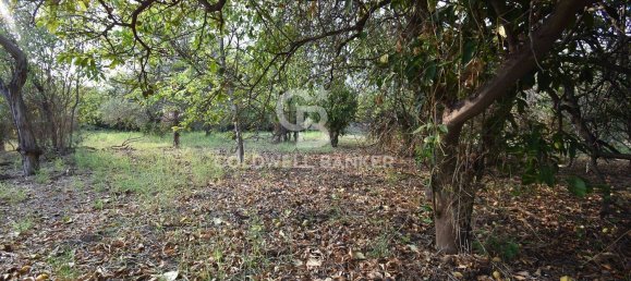 Terrain à Santa Venerina, Italy 5480m² No. 63576 25