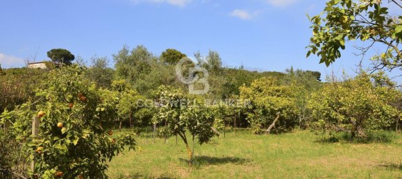 Terrain à Santa Venerina, Italy 5480m² No. 63576 8