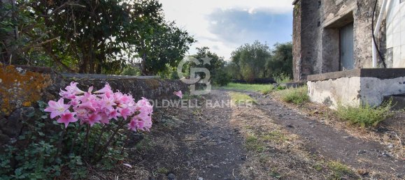 Terrain à Santa Venerina, Italy 5480m² No. 63576 21