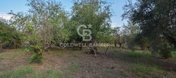 Terrain à Santa Venerina, Italy 5480m² No. 63576 26