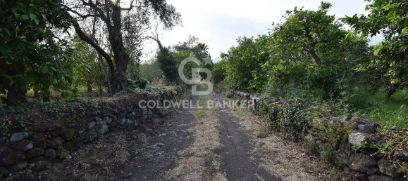 Terrain à Santa Venerina, Italy 5480m² No. 63576 20