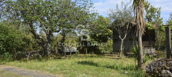 Terrain à Santa Venerina, Italy 5480m² No. 63576 10