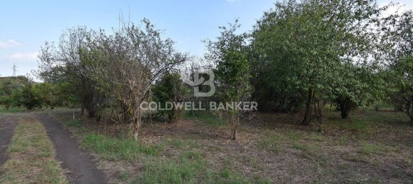 Terrain à Santa Venerina, Italy 5480m² No. 63576 29