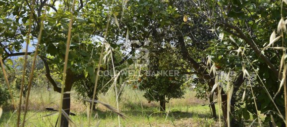 Terrain à Santa Venerina, Italy 5480m² No. 63576 7