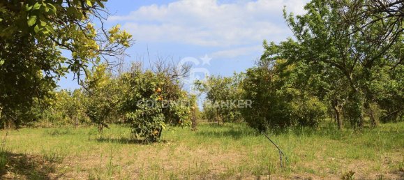 Terrain à Santa Venerina, Italy 5480m² No. 63576 9