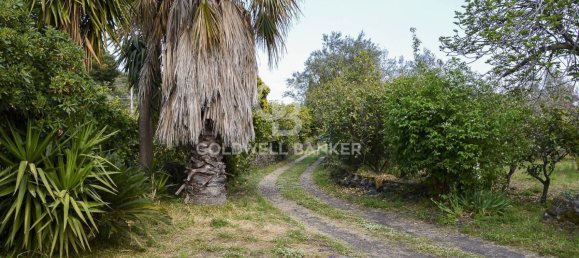 Terrain à Santa Venerina, Italy 5480m² No. 63576 14