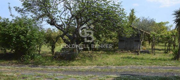 Terrain à Santa Venerina, Italy 5480m² No. 63576 13