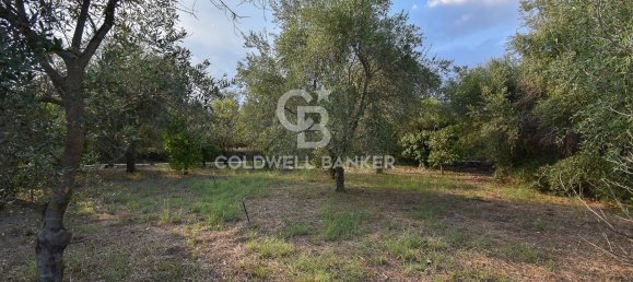 Terrain à Santa Venerina, Italy 5480m² No. 63576 33