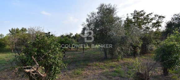 Terrain à Santa Venerina, Italy 5480m² No. 63576 36