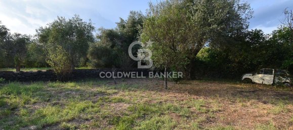 Terrain à Santa Venerina, Italy 5480m² No. 63576 34