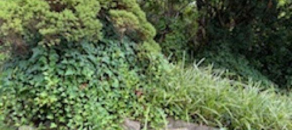 5 rooms House in Raaba-Grambach, Austria No. 221518 50