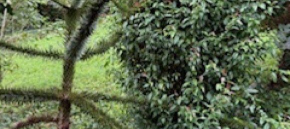 5 rooms House in Raaba-Grambach, Austria No. 221518 35