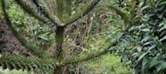 5 rooms House in Raaba-Grambach, Austria No. 221518 36