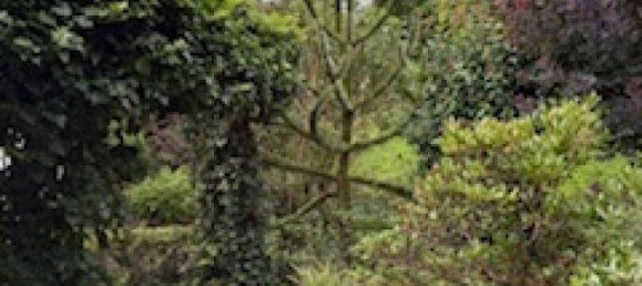 5 rooms House in Raaba-Grambach, Austria No. 221518 13