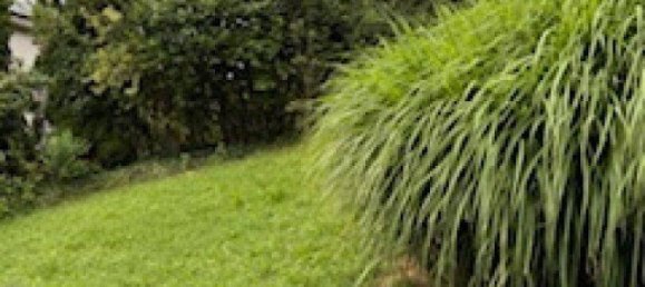 5 rooms House in Raaba-Grambach, Austria No. 221518 39