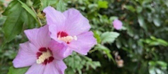 5 rooms House in Raaba-Grambach, Austria No. 221518 47