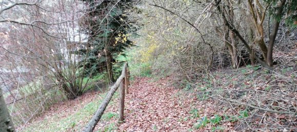 Terrain à Murzzuschlag, Austria 2029m² No. 79134 11