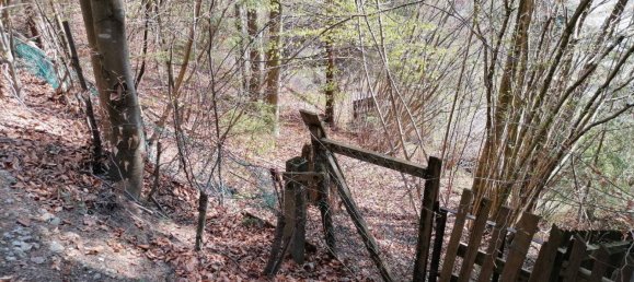 Terrain à Murzzuschlag, Austria 2029m² No. 79134 12