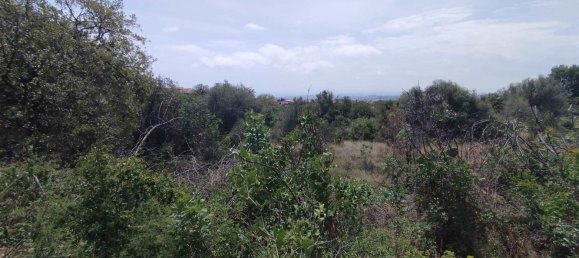2800m² Land in Misterbianco, Italy No. 51225 7