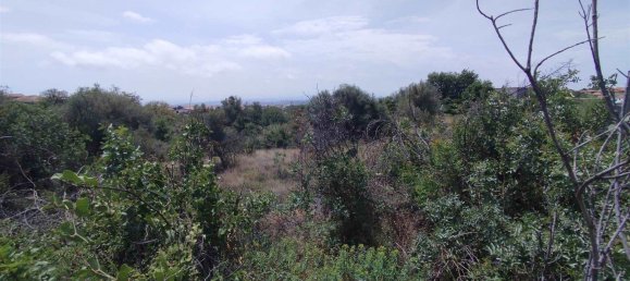 2800m² Land in Misterbianco, Italy No. 51225 8