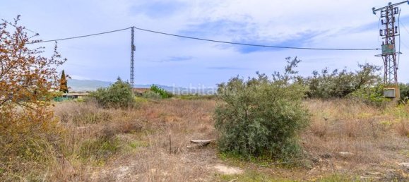 قطعة أرض في Albolote, Spain 529متر مربع رقم 175741 6