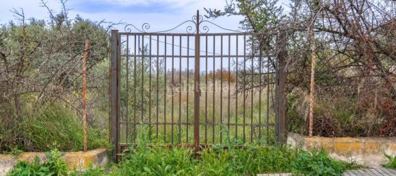 قطعة أرض في Albolote, Spain 529متر مربع رقم 175741 9