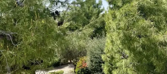 Villa de 3 dormitorios en Agios Tychonas, Cyprus No. 3813 13