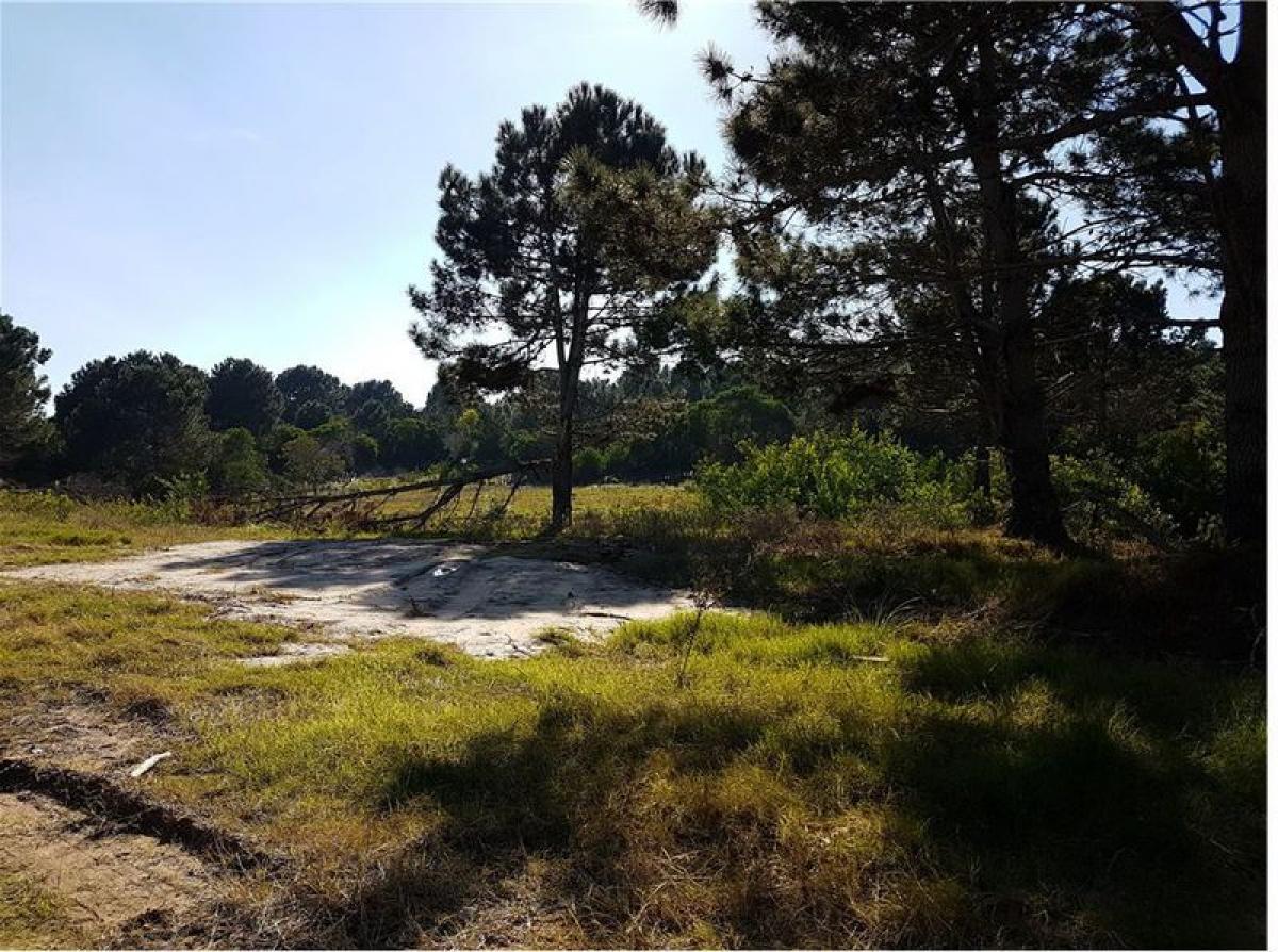  Land in Maldonado, Uruguay No. 16135