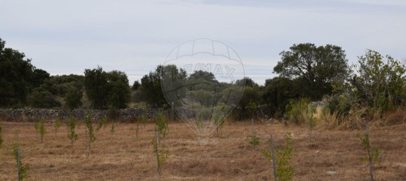 Casa T1 em Escalhão, Portugal N.º 69274 13