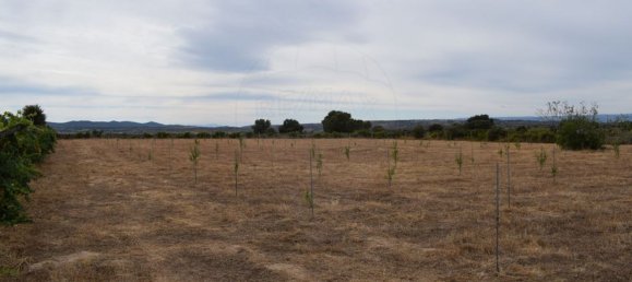 Casa T1 em Escalhão, Portugal N.º 69274 5