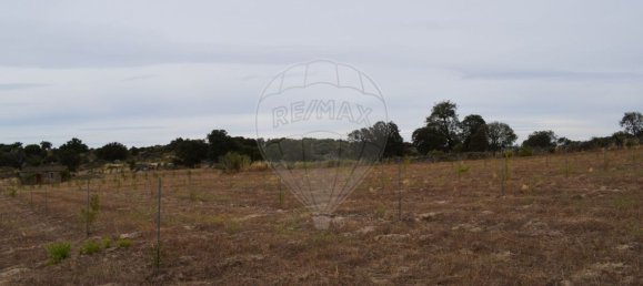 Casa T1 em Escalhão, Portugal N.º 69274 8