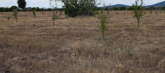Casa T1 em Escalhão, Portugal N.º 69274 19