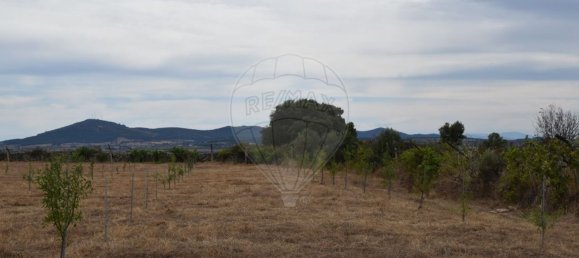 Casa T1 em Escalhão, Portugal N.º 69274 21