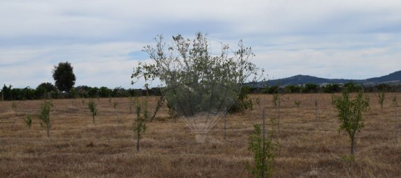 Casa T1 em Escalhão, Portugal N.º 69274 20