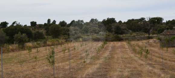 Casa T1 em Escalhão, Portugal N.º 69274 16