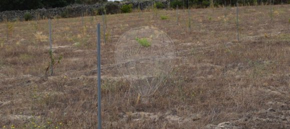 Casa T1 em Escalhão, Portugal N.º 69274 18