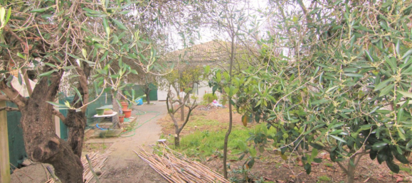  عقار تجاري في Corfu, Greece 236متر مربع رقم 3977 13