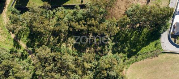 2446m² Land in Santa Maria da Feira, Portugal No. 83913 3