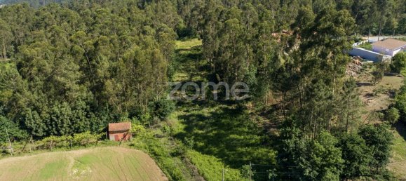 2446m² Land in Santa Maria da Feira, Portugal No. 83913 11