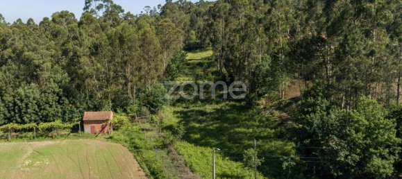 2446m² Land in Santa Maria da Feira, Portugal No. 83913 6