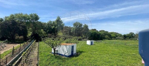 3 bedrooms House in Montemor o Novo, Portugal No. 107775 45