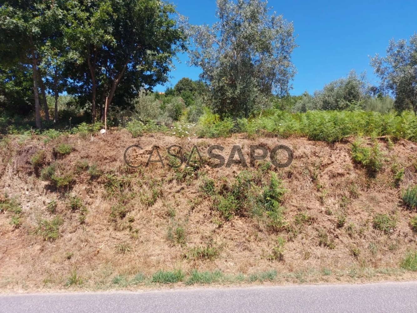 Terrain à Arganil, Portugal No. 271796