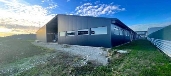 Propriété commerciale à Lang, Austria 1220m² No. 162113 7